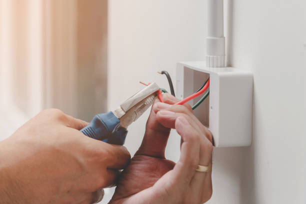 Best Electrical Outlet Installation and Repair  in Premont, TX